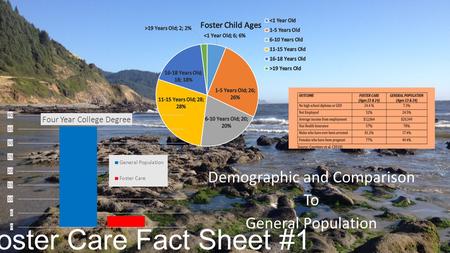 Foster Care Fact Sheet #1 Demographic and Comparison To General Population.