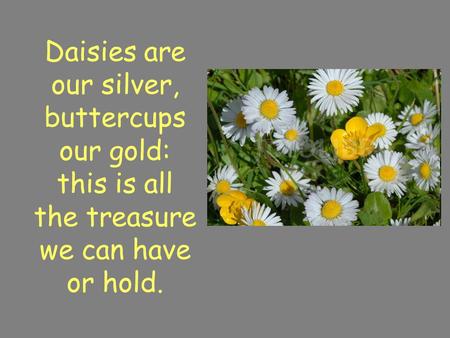 Daisies are our silver, buttercups our gold: this is all the treasure we can have or hold.