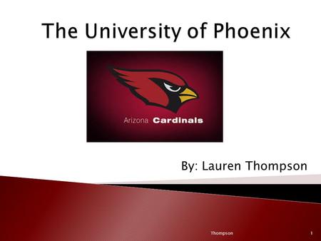 By: Lauren Thompson Thompson1. [Arizona Cardinal 2013//Angry Birds Are Back] YouTube. Retrieved on 2/19/2014 from
