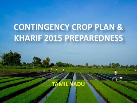TAMIL NADU CONTINGENCY CROP PLAN & KHARIF 2015 PREPAREDNESS.
