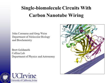 Single-biomolecule Circuits With Carbon Nanotube Wiring Brett Goldsmith Collins Lab Department of Physics and Astronomy John Coroneus and Greg Weiss Department.