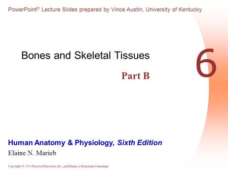 Bones and Skeletal Tissues Part B