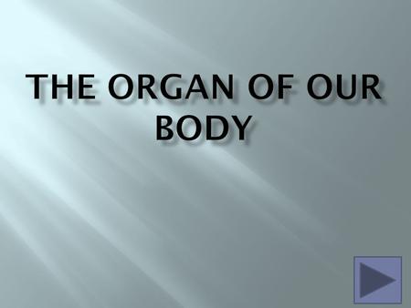  Student will be able to show that they know what the organs look like, where the organs are located, and what each organ function is by completing the.