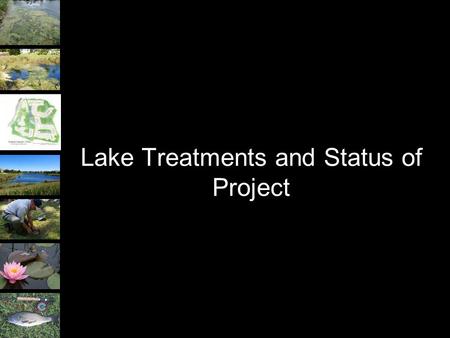 Lake Treatments and Status of Project. Treatments to be Implemented Four different treatments to stormwater basins within the Grand Haven community. –Aeration.