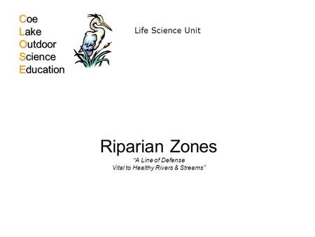 Riparian Zones “A Line of Defense Vital to Healthy Rivers & Streams” Coe Lake Outdoor Science Education Life Science Unit.
