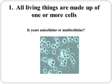 1. All living things are made up of one or more cells Is yeast unicellular or multicellular?