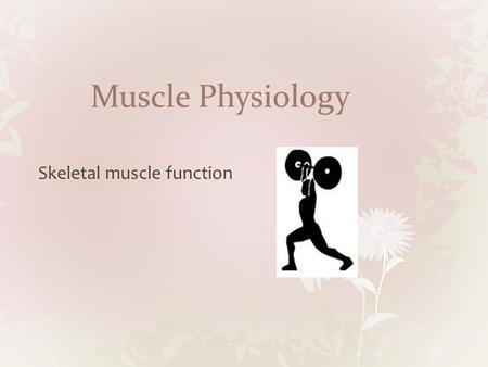 Muscle Physiology Skeletal muscle function. Muscle Strength A motor unit is one motor neuron and all of the muscle fibers it controls The force with which.