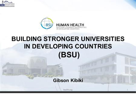 BUILDING STRONGER UNIVERSITIES IN DEVELOPING COUNTRIES (BSU) Gibson Kibiki bsuhh.org1.