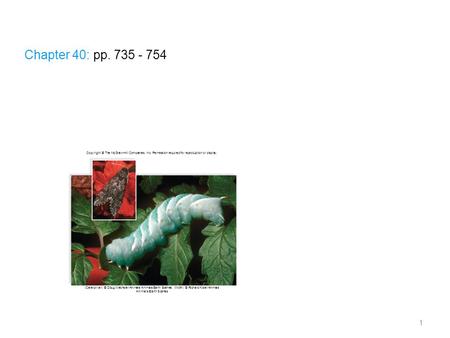 Hormones & Endocrine Systems Chapter 40: pp. 735 - 754 1 Copyright © The McGraw-Hill Companies, Inc. Permission required for reproduction or display. (Caterpillar):