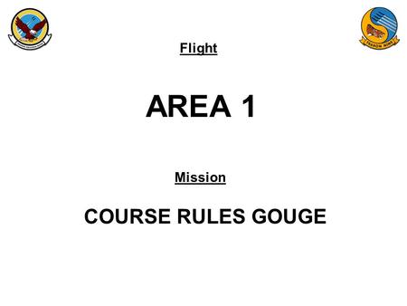 Flight Mission AREA 1 COURSE RULES GOUGE. FAM-08 AREA 1.