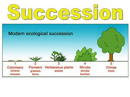 Primary Succession Defined: Establishment and development of an ecosystem in an uninhabited environment Starts with bare rock.