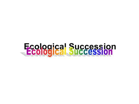 Ecological Succession. Both the biotic or living and the abiotic or non- living components of an ecosystem change over time. Will this landscape of rocks.