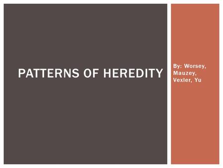 By: Worsey, Mauzey, Vexler, Yu PATTERNS OF HEREDITY.