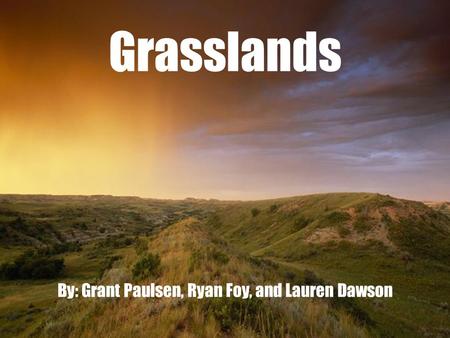 Grasslands By: Grant Paulsen, Ryan Foy, and Lauren Dawson.