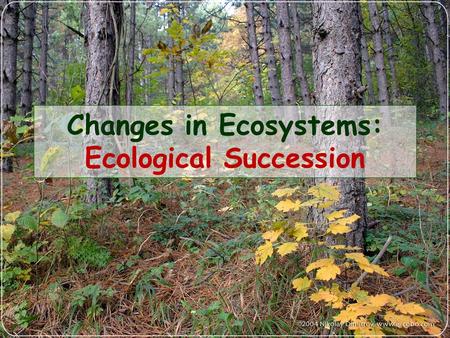Changes in Ecosystems: Ecological Succession. What is Ecological Succession? Natural, gradual changes in the types of species that live in an area Can.