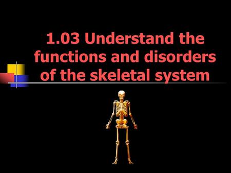 1.03 Understand the functions and disorders of the skeletal system.
