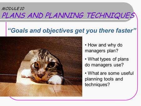 MODULE 10 PLANS AND PLANNING TECHNIQUES “Goals and objectives get you there faster” How and why do managers plan? What types of plans do managers use?