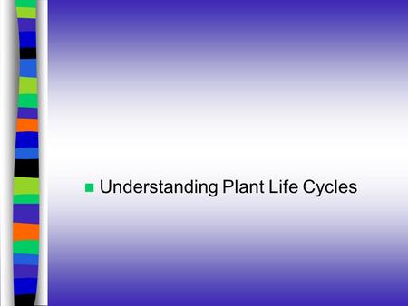 Understanding Plant Life Cycles. Next Generation Science/Common Core Standards Addressed! HS ‐ LS1 ‐ 6. Construct and revise an explanation based on evidence.