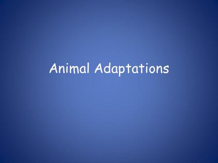 Animal Adaptations. Learning Intentions I know the three main types of adaptation. By looking at an animal, I can identify structural adaptations. I can.