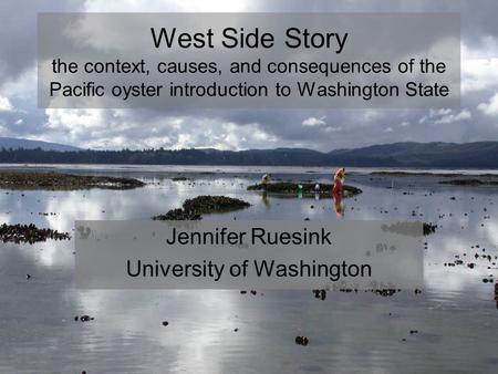 West Side Story the context, causes, and consequences of the Pacific oyster introduction to Washington State Jennifer Ruesink University of Washington.