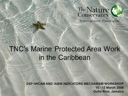 GEF-IWCAM AND IABIN INDICATORS MECHANISM WORKSHOP 10 - 12 March 2008 Ocho Rios, Jamaica TNC’s Marine Protected Area Work in the Caribbean.