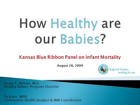 Kansas Blue Ribbon Panel on Infant Mortality August 28, 2009 Susan E. Wilson, BGS Healthy Babies Program Director Ty Kane, MPH Community Health Analyst.