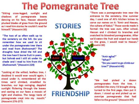 The Pomegranate Tree stories Friendship Amir Hassan