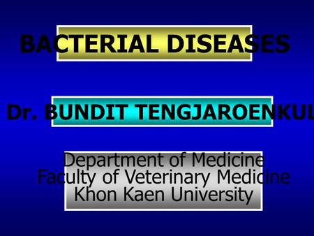 BACTERIAL DISEASES Dr. BUNDIT TENGJAROENKUL Department of Medicine Faculty of Veterinary Medicine Khon Kaen University.