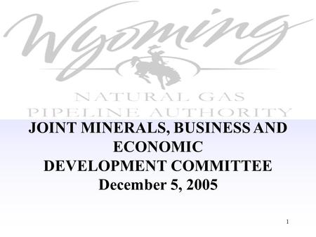 1 JOINT MINERALS, BUSINESS AND ECONOMIC DEVELOPMENT COMMITTEE December 5, 2005.