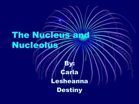 The Nucleus and Nucleolus