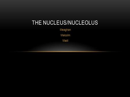 Meaghan Malcolm Madi THE NUCLEUS/NUCLEOLUS. THE NUCLEUS So what is the nucleus? The nucleus is essentially the brain of the cell. It’s job is to control.