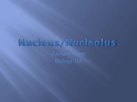 Zachary Knott Biology 101.  The nucleus is the cell’s control center  It issues instructions to that control cell activities  It stores hereditary.