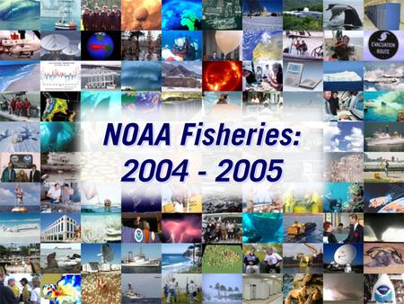 NOAA Fisheries: 2004 - 2005. Mission Stewardship of living marine resources through science-based conservation and management and the promotion of healthy.