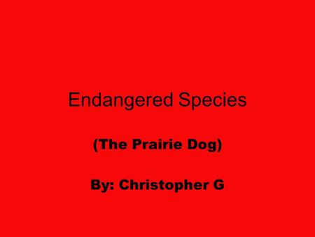 Endangered Species (The Prairie Dog) By: Christopher G.