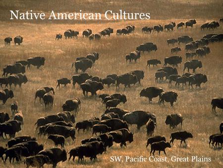 Native American Cultures SW, Pacific Coast, Great Plains.