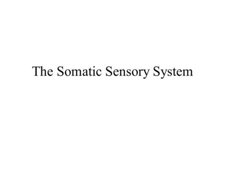 The Somatic Sensory System. Functional Organization of the System, which serves: Sense of: Touch Limb position Pain Temperature Regulation of arousal.