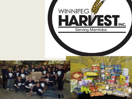 Winnipeg Harvest is a non-profit, community based organization that is a food distribution & training center. Our goals are to collect and share surplus.