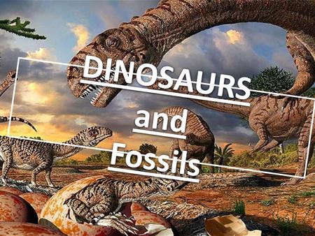 DINOSAURS and Fossils.