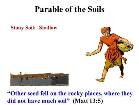 Parable of the Soils Stony Soil:Shallow “Other seed fell on the rocky places, where they did not have much soil” (Matt 13:5)