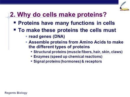 2. Why do cells make proteins?