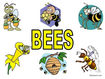 BEES ©abcteach.com.