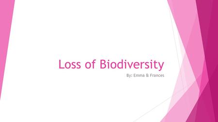 Loss of Biodiversity By: Emma & Frances. Biodiversity Biodiversity is the variety of life in the world or in a particular habitat or ecosystem.