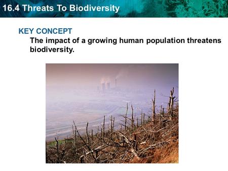 Preserving biodiversity is important to the future of the biosphere.