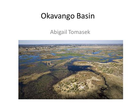 Okavango Basin Abigail Tomasek. Okavango Basin  Approximately 1600 km long Majority of basin undeveloped and one of.