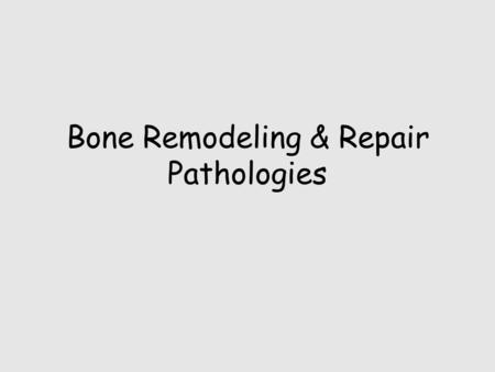 Bone Remodeling & Repair Pathologies