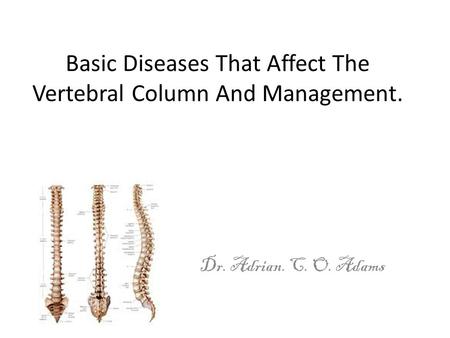 Basic Diseases That Affect The Vertebral Column And Management.