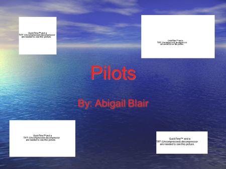 Pilots By: Abigail Blair.
