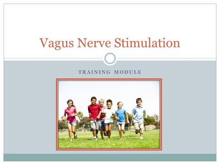 TRAINING MODULE Vagus Nerve Stimulation. What is Vagus Nerve Stimulation? Vagus nerve stimulation (VNS Therapy®) is designed to prevent seizures by sending.