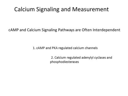 CAMP and Calcium Signaling Pathways are Often Interdependent 1. cAMP and PKA regulated calcium channels 2. Calcium regulated adenylyl cyclases and phosphodiesterases.