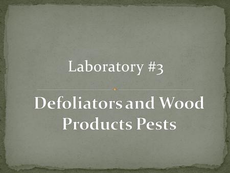 Laboratory #3. To familiarize you with the variation in insects. To know and identify important defoliators and wood products pests in our forests.